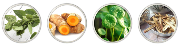 DRHC-Kem-duong-Jelly-Herbal-Plus-3.jpg